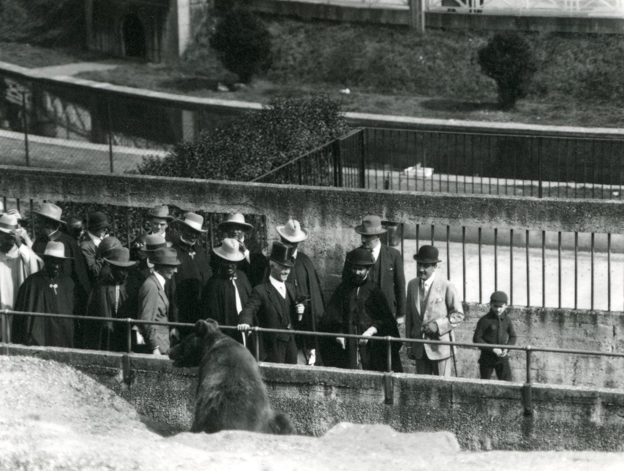 Sir Peter Chalmers Mitchell, met Ethiopische regent Haile Selassie en zijn entourage, bekijkend een bruine beer op de Mappin Terrassen, London Zoo door Frederick William Bond