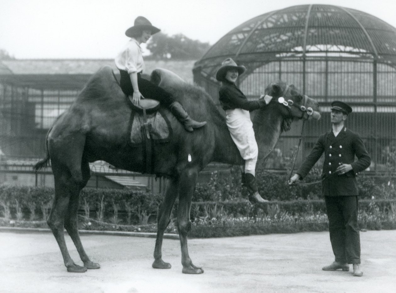 Twee cowgirls poseren op een Bactrische kameel, die wordt vastgehouden door zijn verzorger, tijdens een bezoek aan de London Zoo door Frederick William Bond