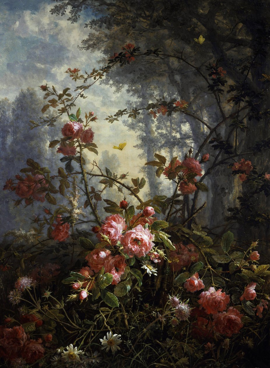  door Frederick William Meyer