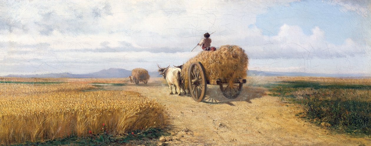 Tarweveld, circa 1868, door Federico Rossano (1835-1912) door Frederico Rossano