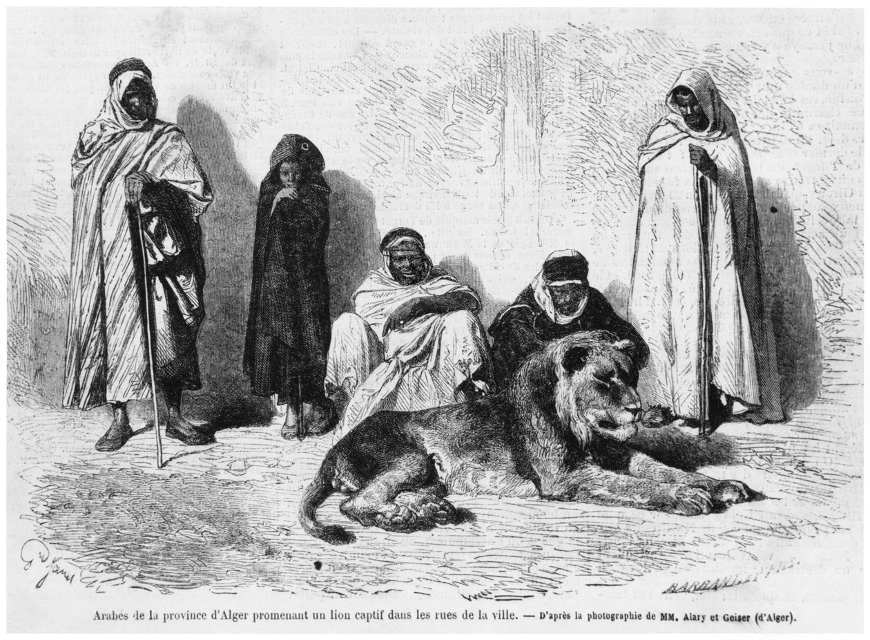 Groep Arabische mannen uit de provincie Algiers, wandelend met een gevangen leeuw door de straten van de stad, uit Le Monde Illustre, januari 1864 door French Photographer