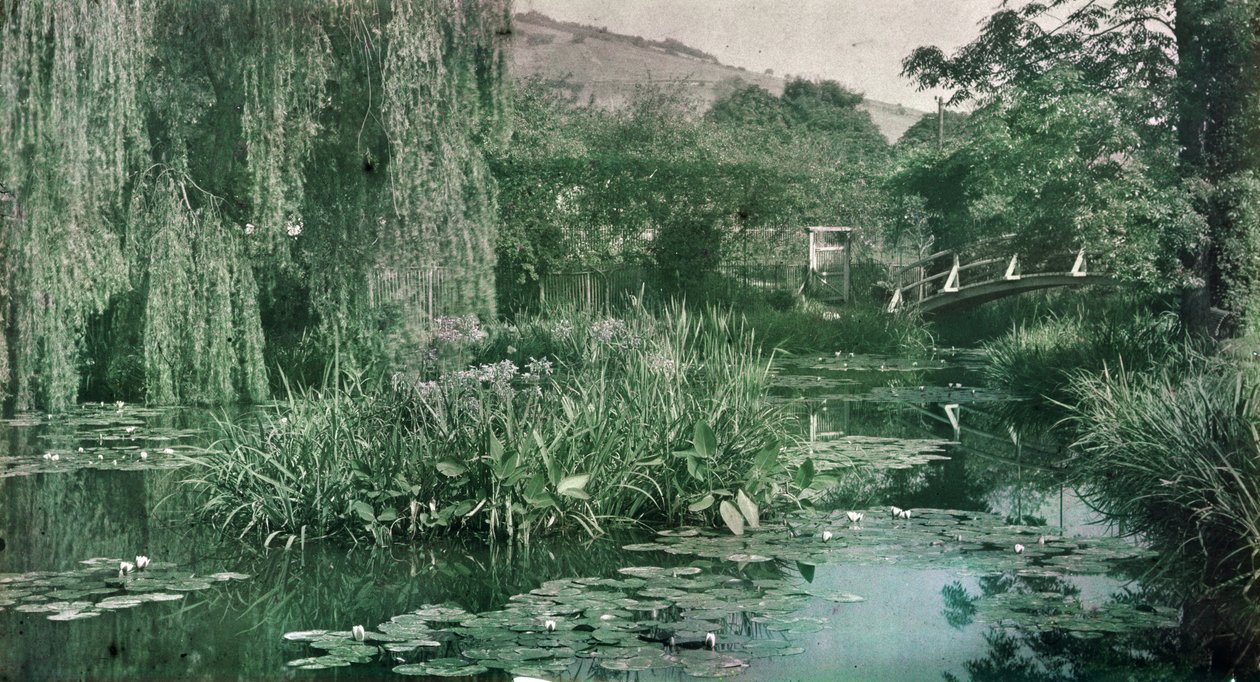 Waterlelievijver en Japanse brug in Monet