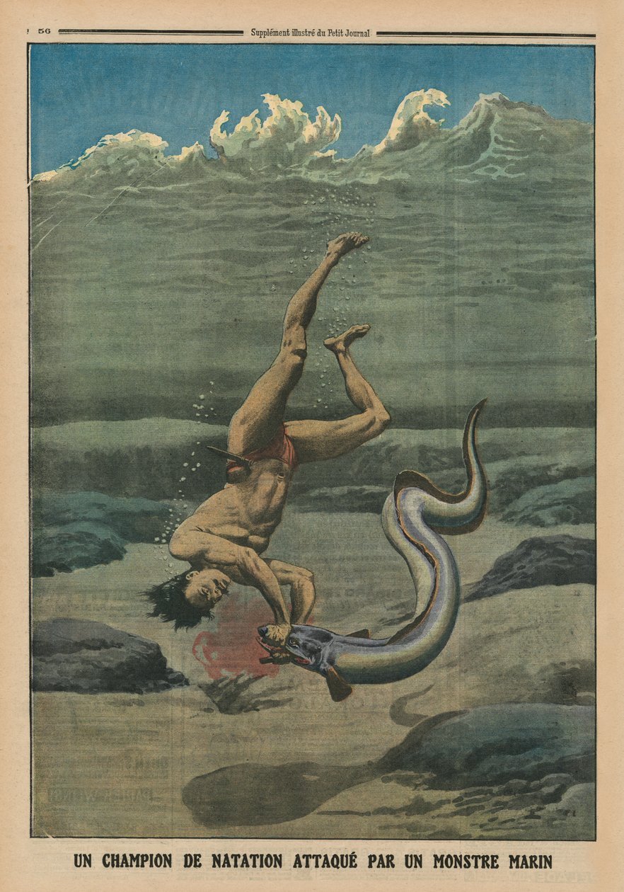 Een zwemkampioen aangevallen door een zeemonster, achteromslag illustratie uit 