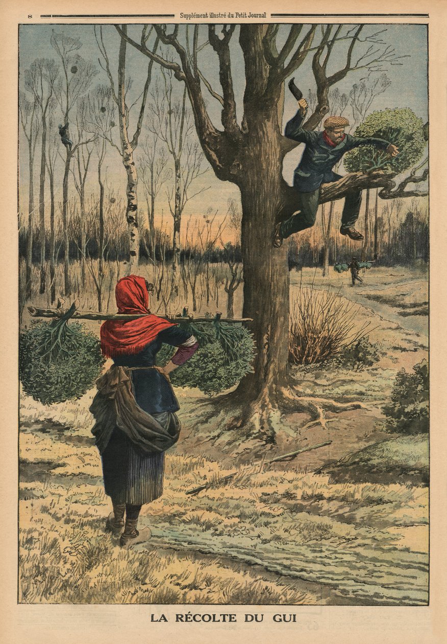 Het snijden van de maretak, achteromslagillustratie uit 