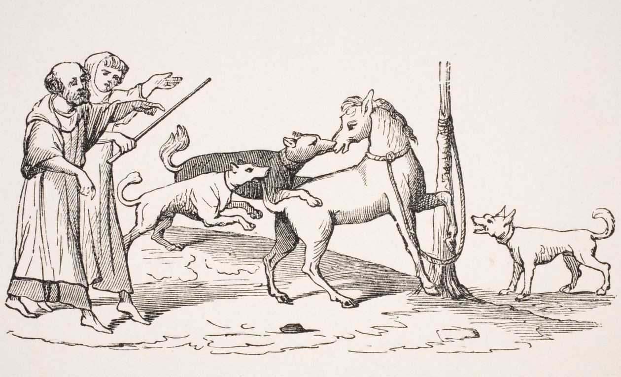 Gevecht tussen paard en honden, reproductie van miniatuur in een 13e-eeuws manuscript, uit 