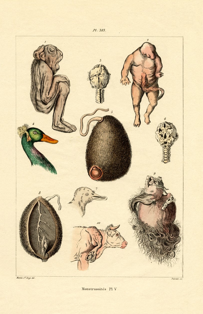 Freak door French School