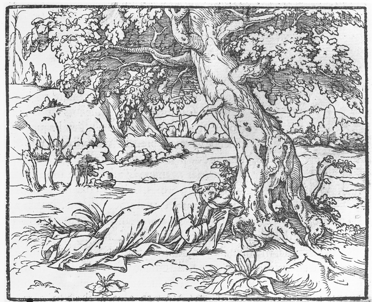 Pagina uit Discours du Songe de Poliphile, door Francesco Colonna, 1546 door French School