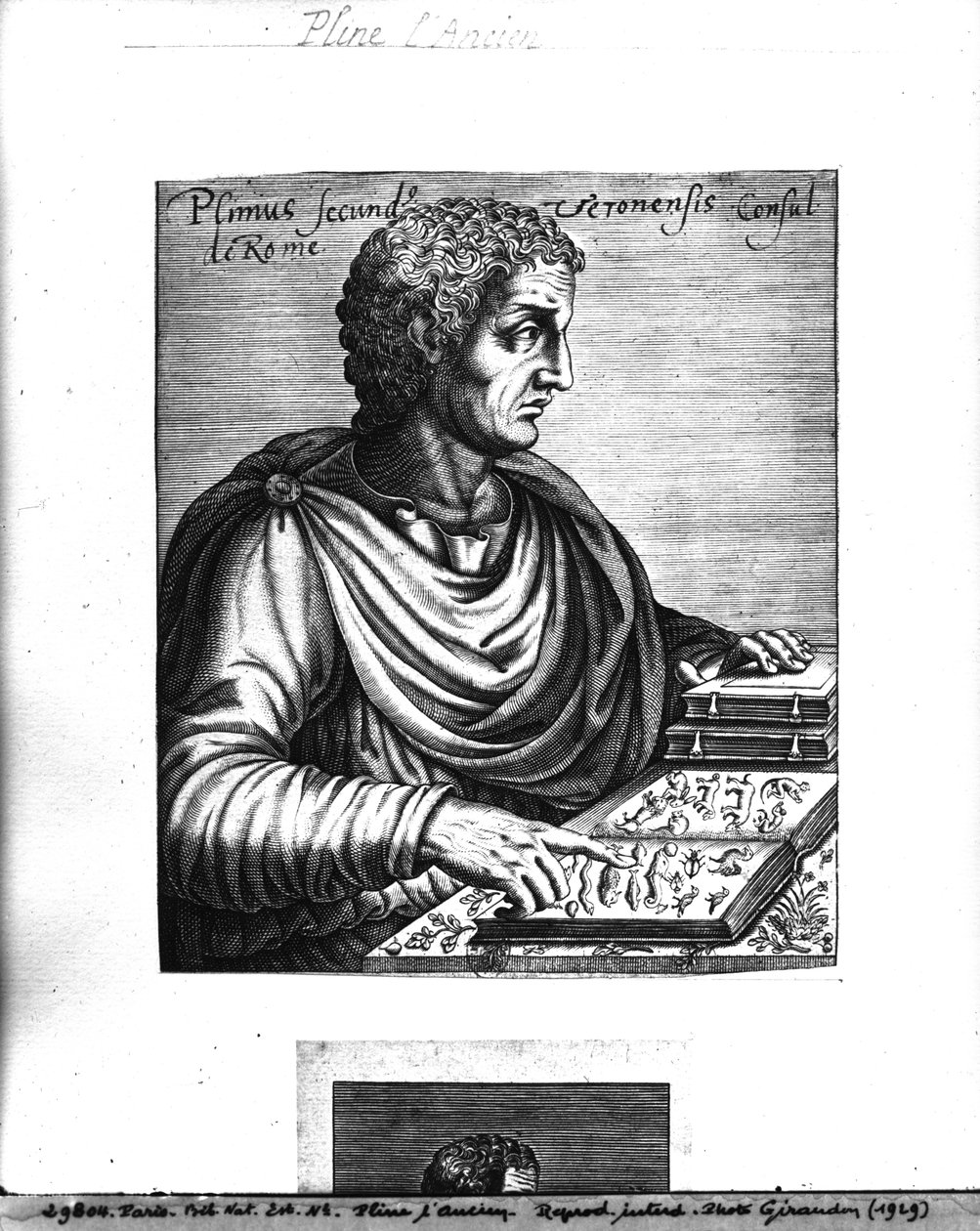 Plinius de Oudere (23-79 AD) door French School
