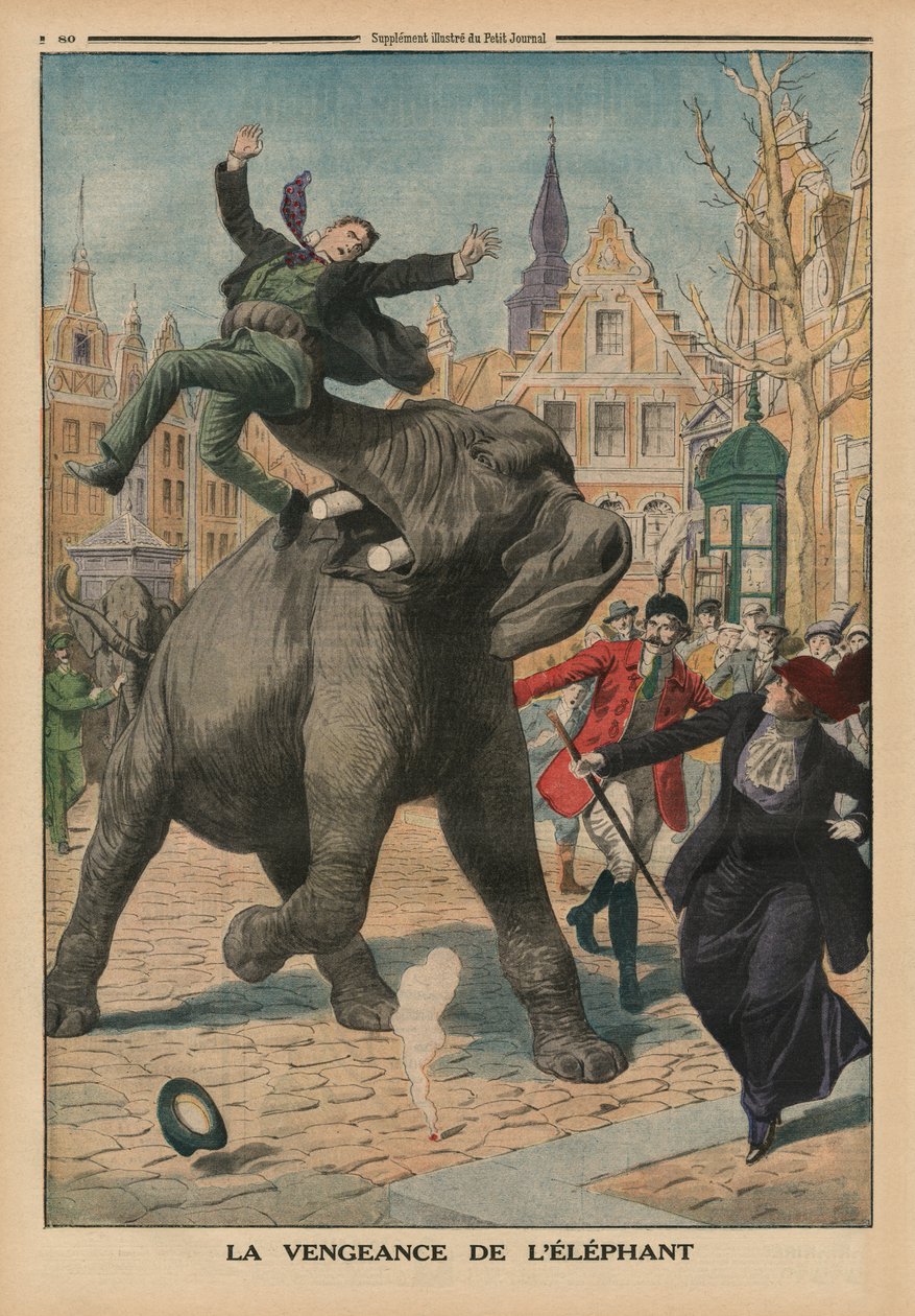 Wraak van een olifant, achteromslag illustratie van 