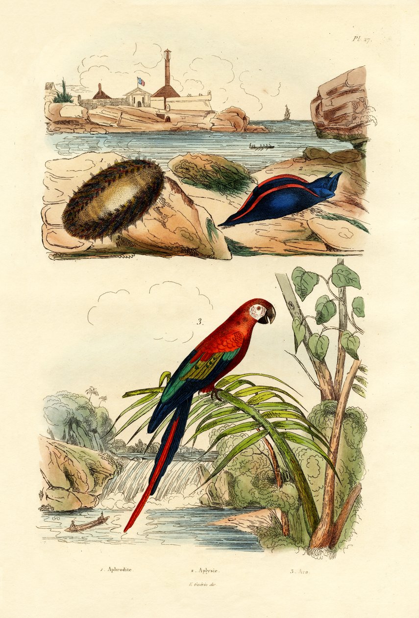 Zeemuis, 1833-39 door French School