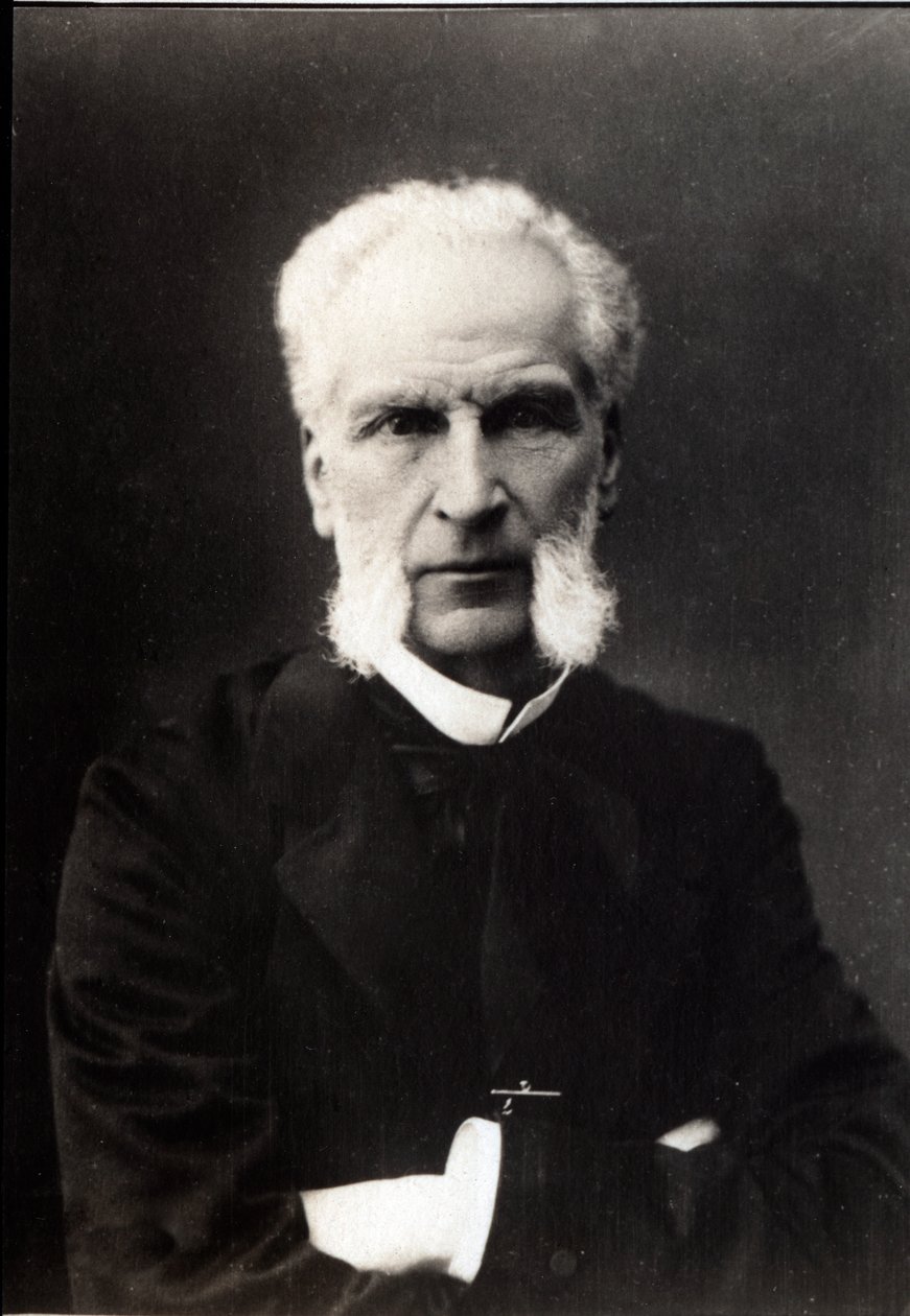 Portret van Aime Joseph Edmond Rousse (1817-1906), Franse advocaat door French Photographer