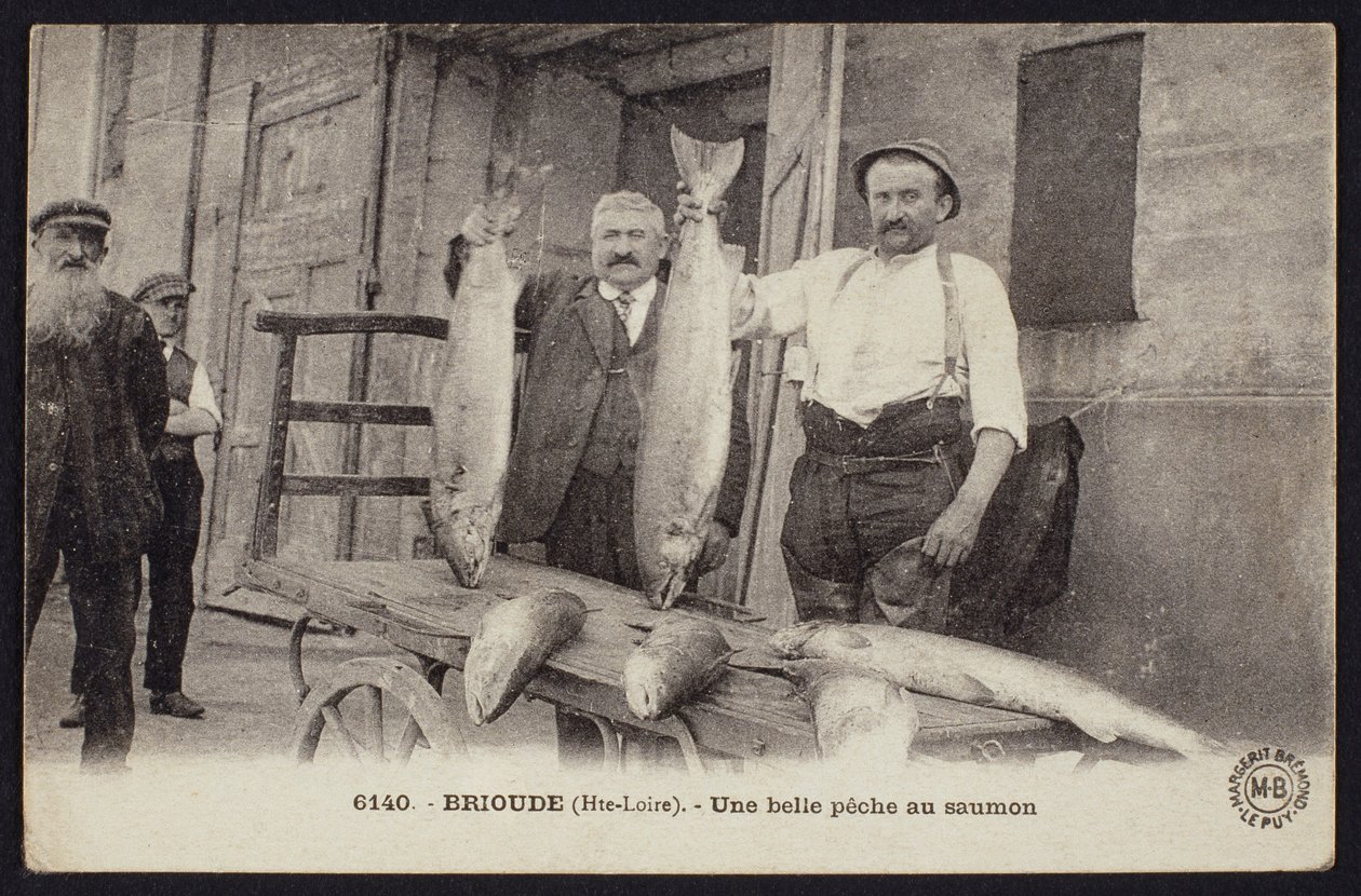 Ansichtkaart met een goede zalmvangst in Brioude, Haute-Loire, ca.1900 door French Photographer