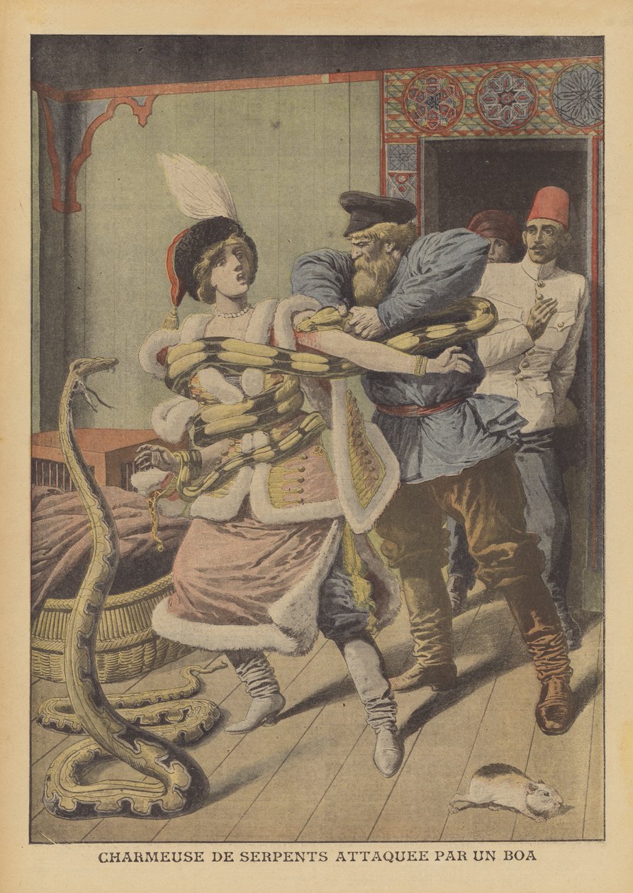 Een vrouwelijke slangenbezweerder aangevallen door een boa constrictor in Alexandrië (kleurenlitho) door French School
