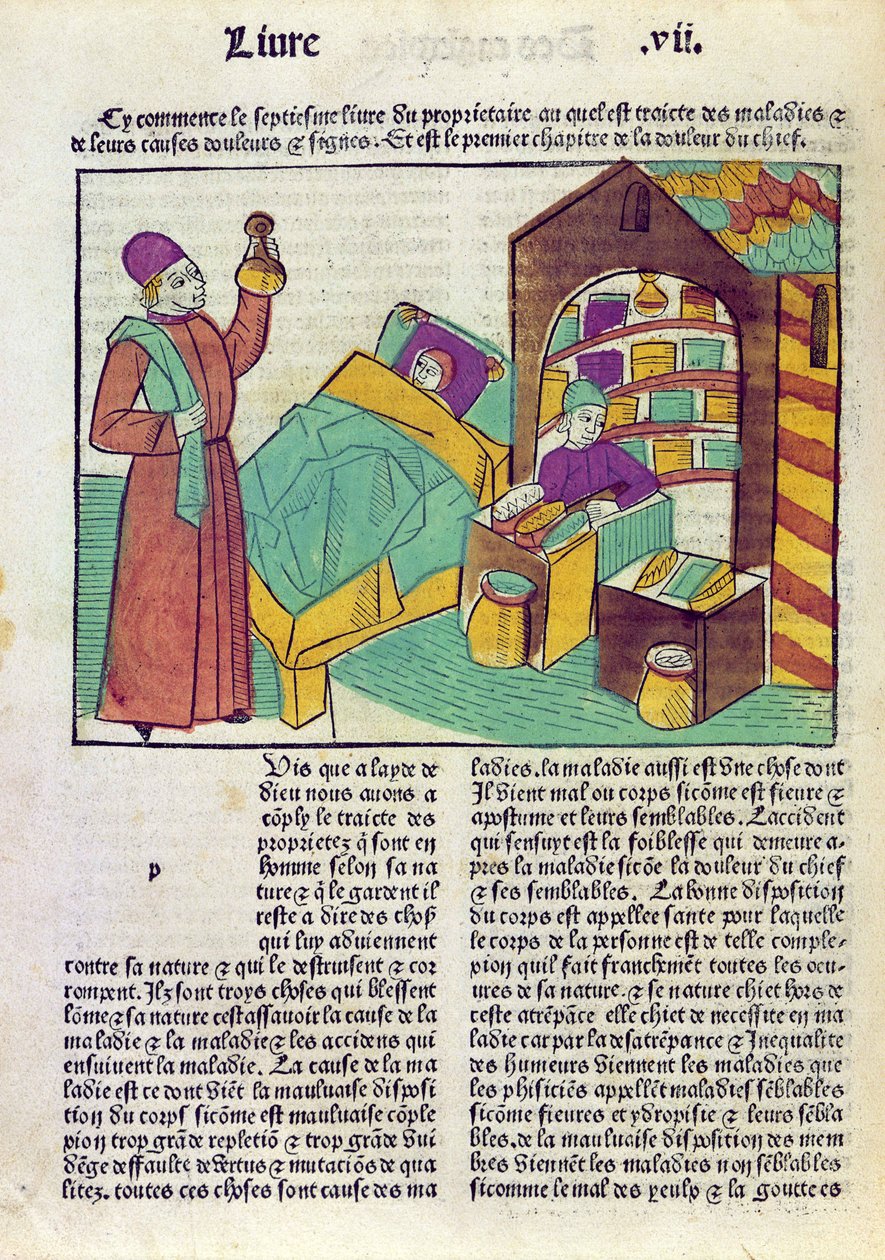 Een patiënt met een dokter en een apotheker, uit Le Livre des Proprietes des Choses door Barthelemy l