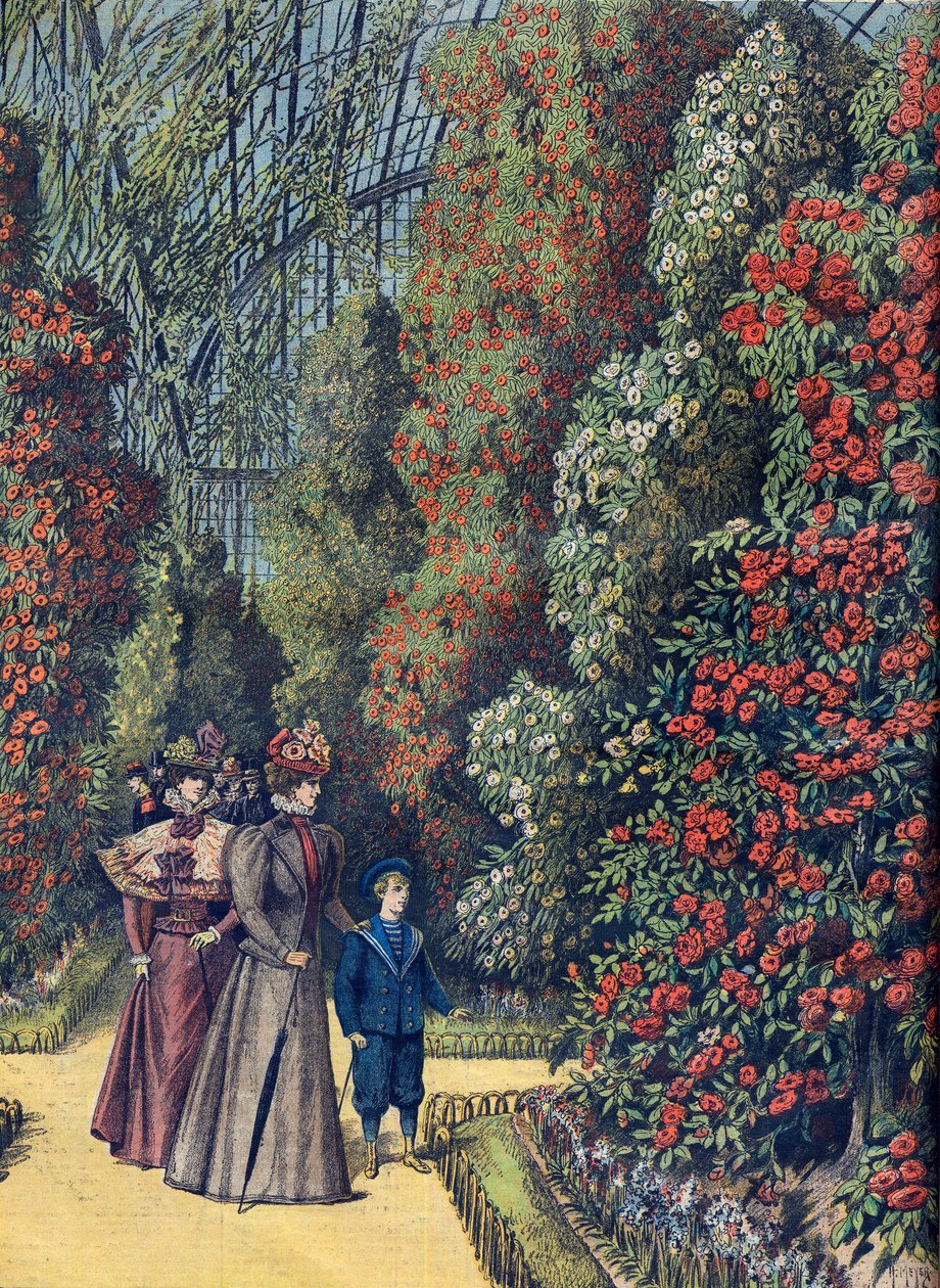 Acclimatietuin - la serre des camelias - Cameliakas in een botanische tuin door French School