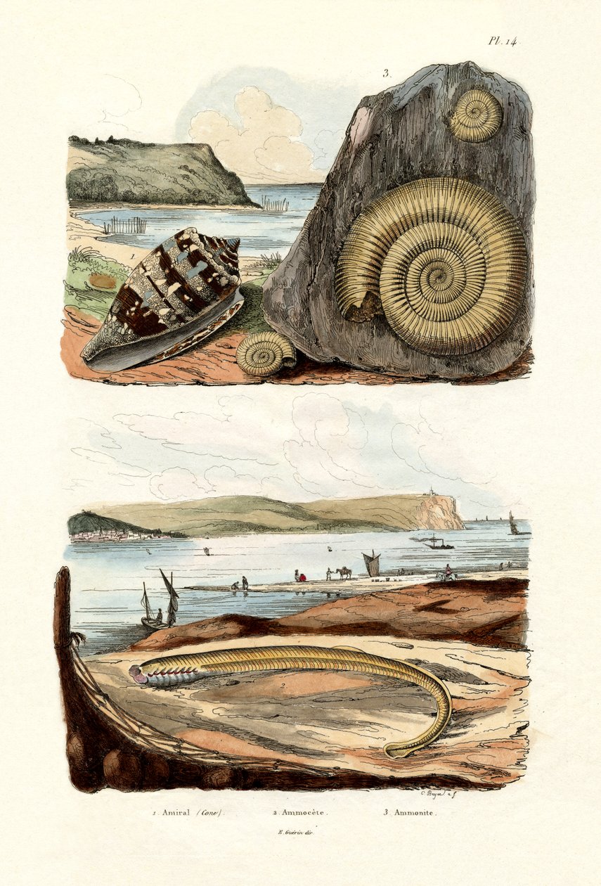 Admiraal Cone, 1833-39 door French School