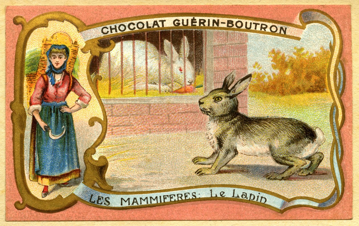 Reclame chromolithografie van chocolade Guerin Boutron, Zoogdieren, Het konijnenhok en wild, konijnenhol door French School