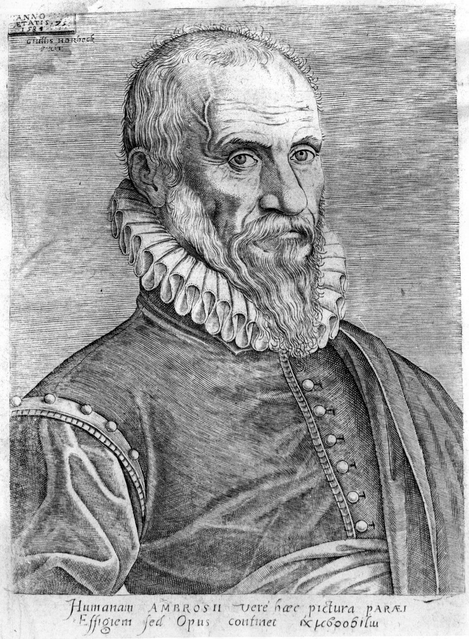 Ambroise Paré (1509-1590) door French School