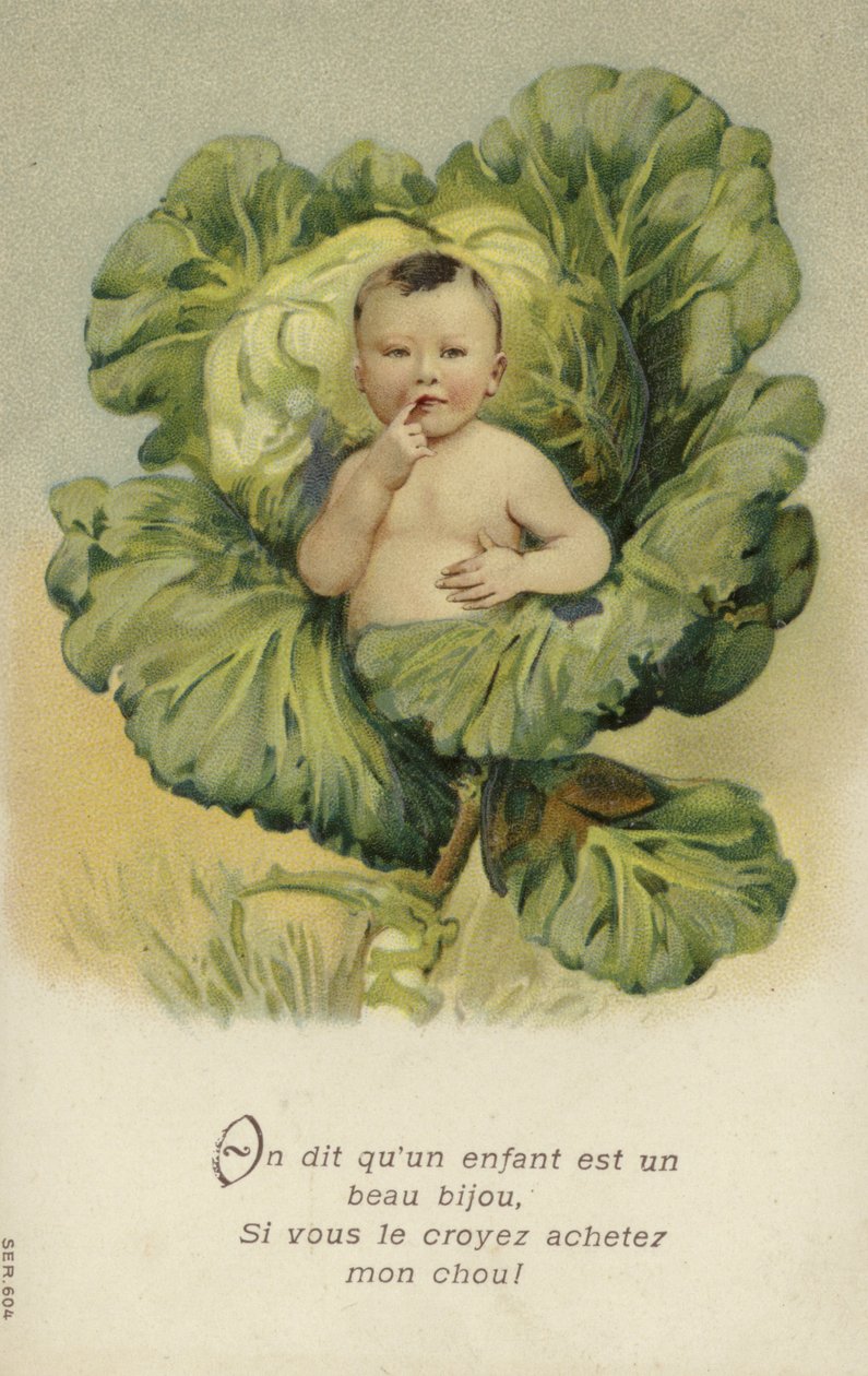 Baby in een kool (chromolitho) door French School