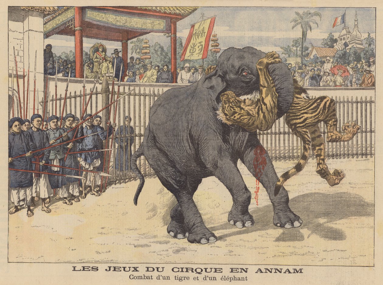 Gevecht tussen een olifant en een tijger in een circus in Annam, Indochina (kleurenlitho) door French School