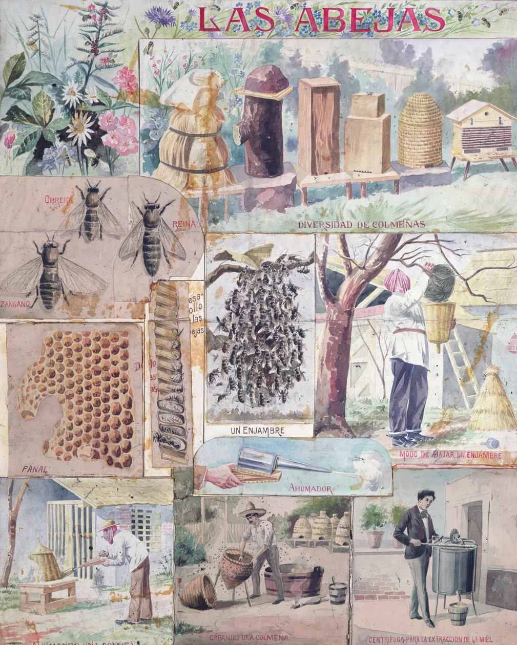Bijencultuur, illustratie gemaakt in Frankrijk bedoeld voor publicatie in Mexico, ca. 1900 door French School