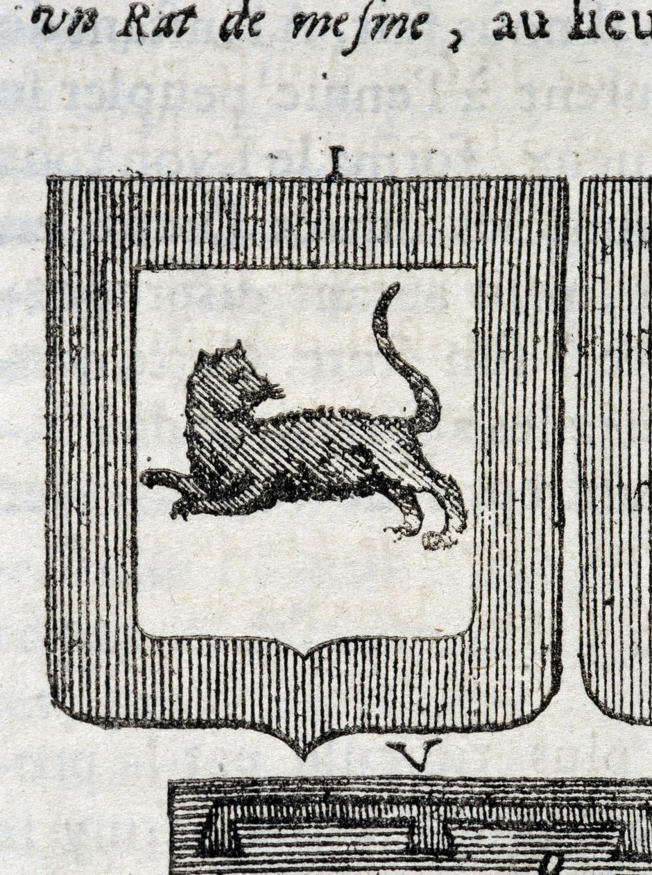 Wapen van het Italiaanse Infanterieregiment in "La Vraye and Perfect Science of Arms or the Armorial Index" door Pierre Palliot door French School