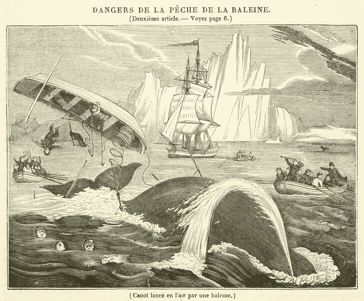 Kano in de lucht gelanceerd door een walvis (gravure) door French School