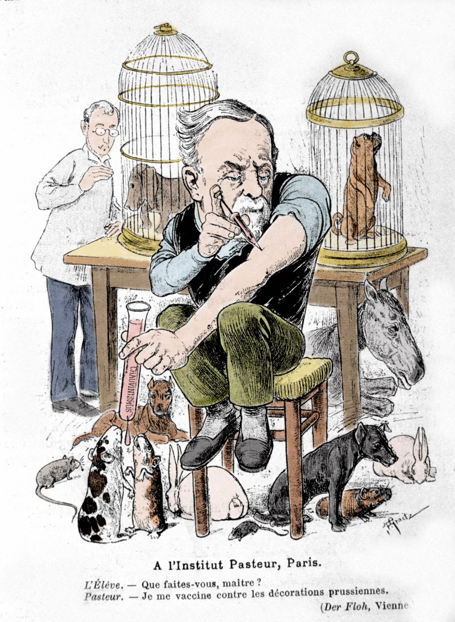 Cartoon van wetenschapper Louis Pasteur, uitvinder van het vaccin tegen hondsdolheid, die zichzelf vaccineert tegen Pruisische onderscheidingen. Gepubliceerd in 