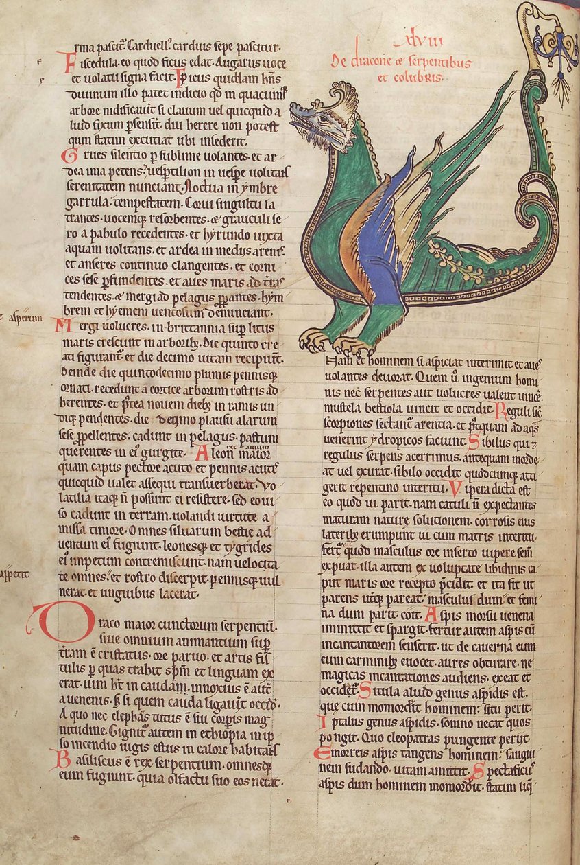Tekst met illustratie van een Draak, uit Liber Floridus door Lambert de Saint-Omer ca. 1120 door French School