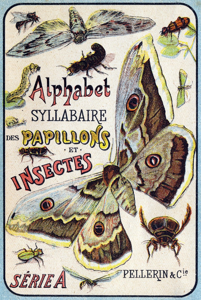 Omslag van "Syllabary alfabet van vlinders en insecten" door French School