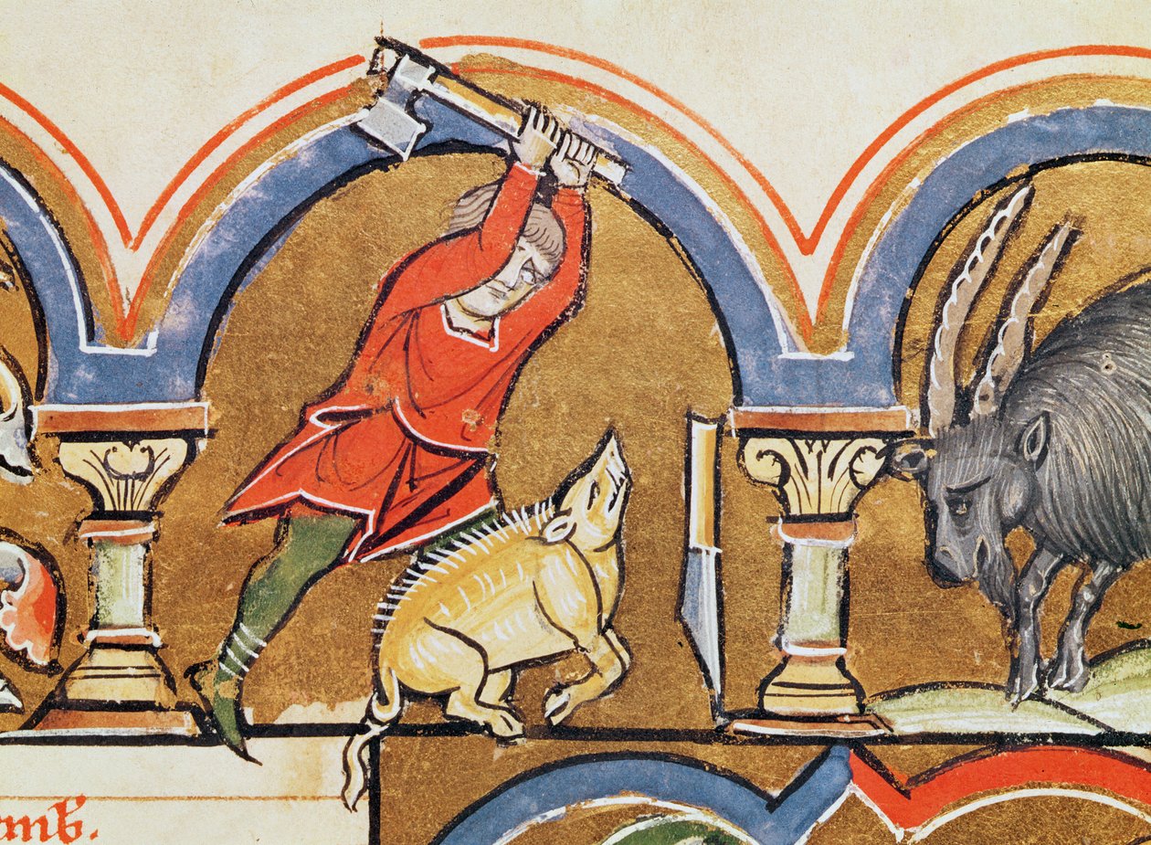 December, Offer van een varken, uit het Psalter van Sint Elisabeth door French School