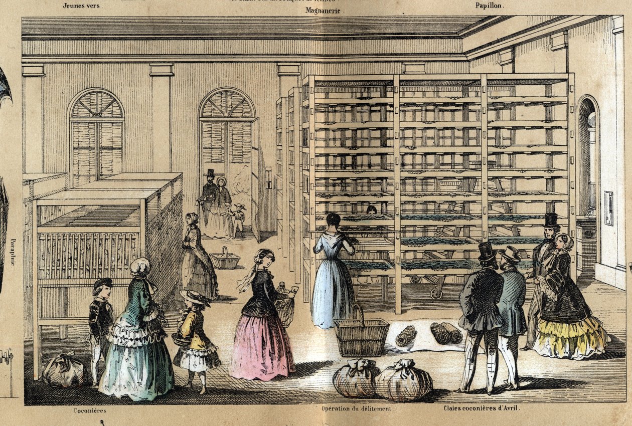 Beschrijving van cultuur en zijden producten: in het midden de magneerie met de verschillende stadia van de zijdecultuur. Plaat 