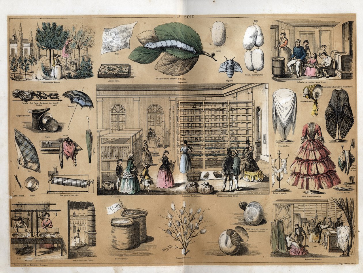 Beschrijving van cultuur en zijden producten: in het midden de magneet en sericicultuur. Weergave van de productie van zijde vanaf het planten van de muren, het kweken van zijderupsen, het werk van het spinnen en de zijden winkels. Plaat 