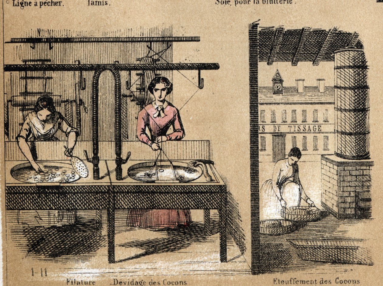 Beschrijving van de teelt en zijden producten: arbeiders die zijde spinnen, cocons verwijderen of verstikken. Plaat "la soie" in "les Recreations instructives" Synoptisch schilderij door Jules Delbruck, gravure uit 1860. Privécollectie. door French School