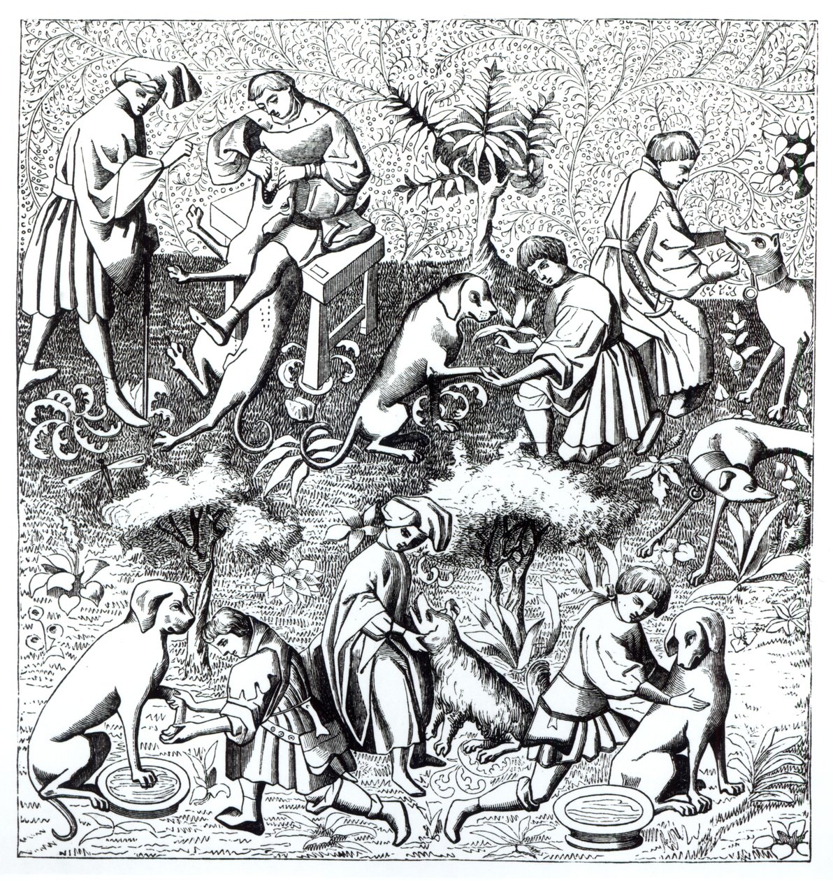 Ziekten van honden en hun genezing, naar een miniatuur in het manuscript van Gaston de Foix door French School