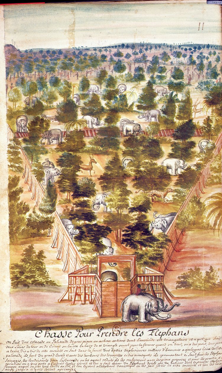 Olifantenjacht in Siam, uit een verslag van de Jezuïeten in Siam, 1688 door French School