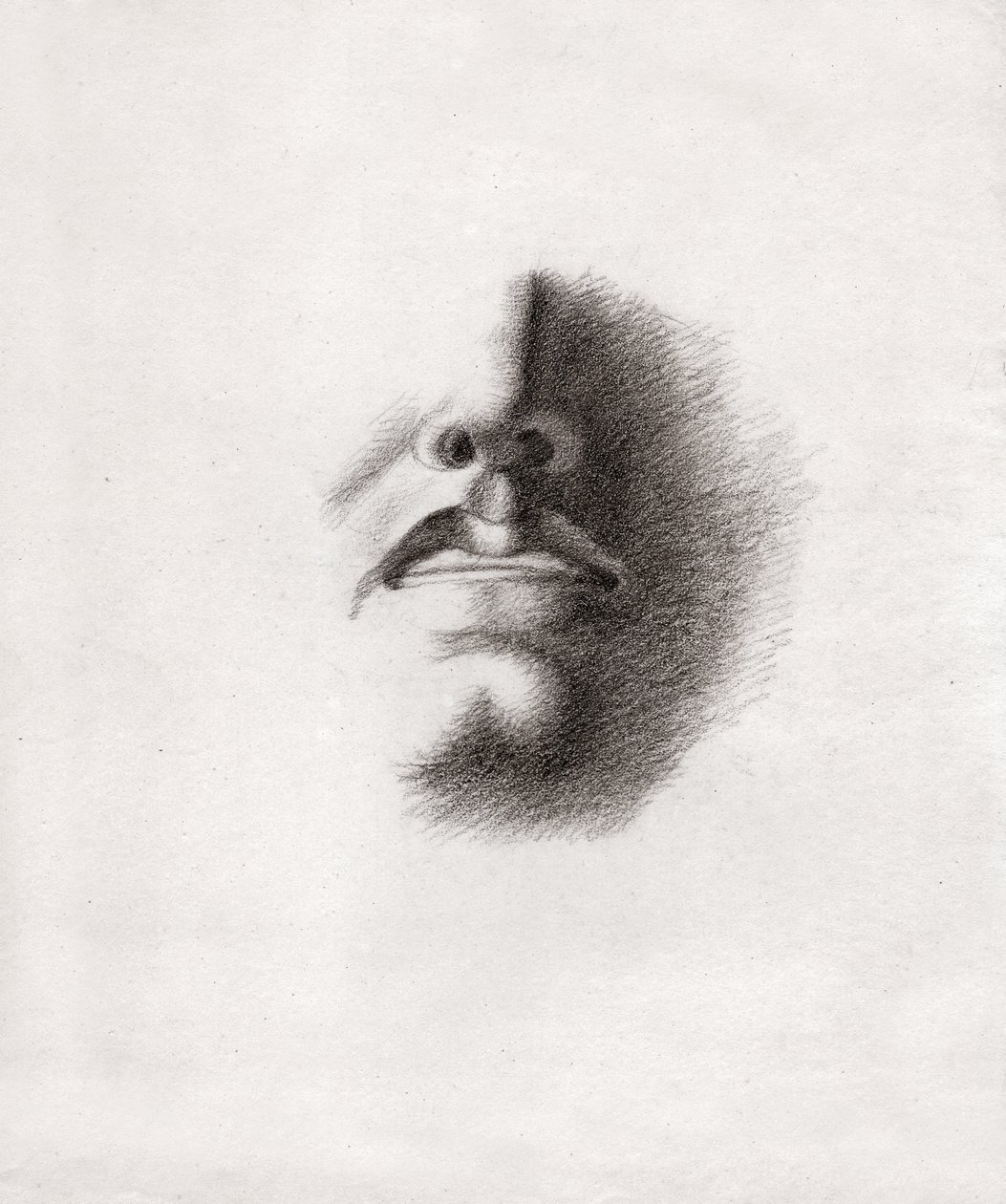 Gezicht van een man (tekening, ca. 1830) door French School