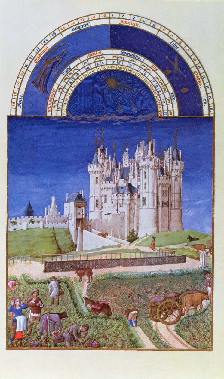 Facsimile van September: druivenoogst door de gebroeders Limbourg, uit de Très Riches Heures du Duc de Berry door French School