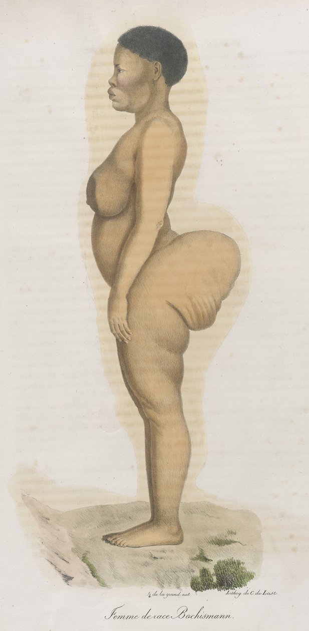 Femme de race Bochismann. Deze plaat is blijkbaar een afbeelding van Sara (Saartjie) Baartman (1789-1815) die een Khoisan was die uit Zuid-Afrika werd overgebracht om publiekelijk tentoongesteld te worden in Piccadilly onder de titel 