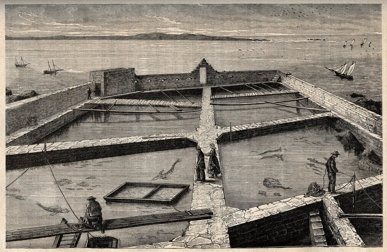 Visserij in Concarneau - Bretagne - Visserijbedrijf - Concarneau - Finistère - Bretagne - gravure in 
