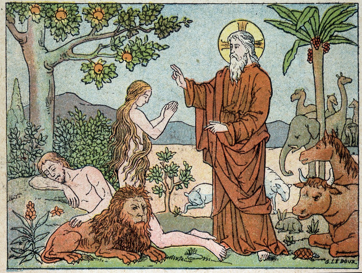 God: 6e dag van de schepping - in 