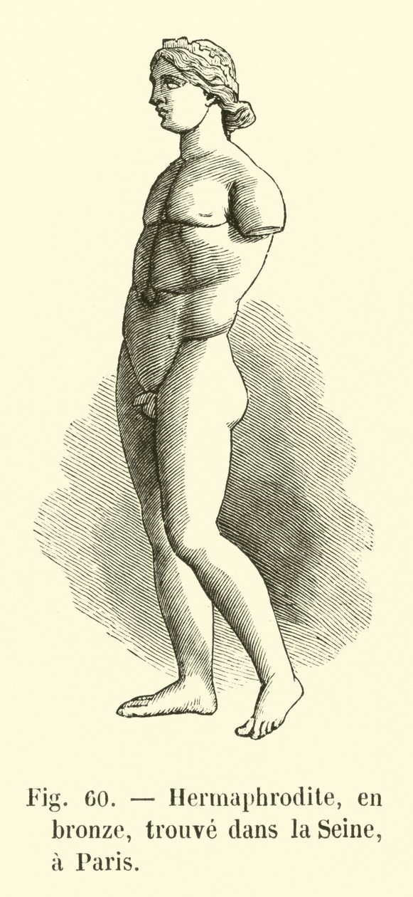 Hermaphrodite, in brons, gevonden in de Seine, Parijs (gravure) door French School