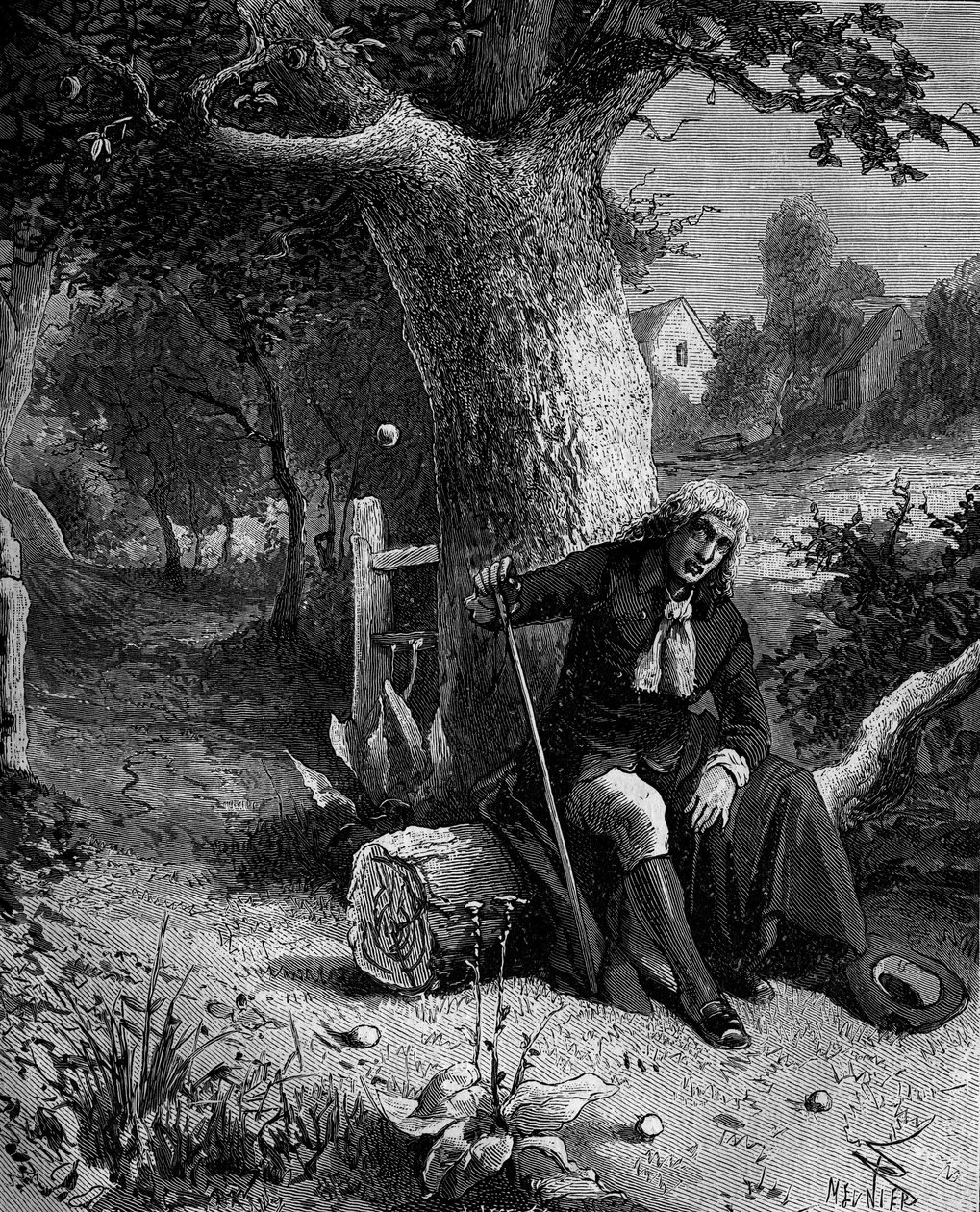 Isaac Newton (1642-1727), Engelse wiskundige en astronoom, ontdekte het begrip zwaartekracht door een appel die van een appelboom in Woolsthorpe viel door French School