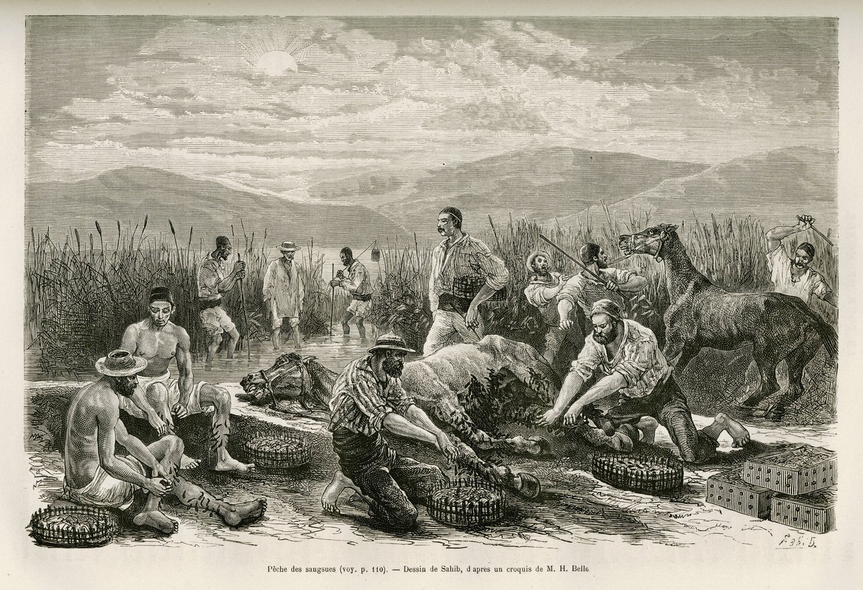De visvangst van bloedzuigers, tekening door Sahib, ter illustratie van het verhaal van Henri Belle: Reis naar Griekenland door French School