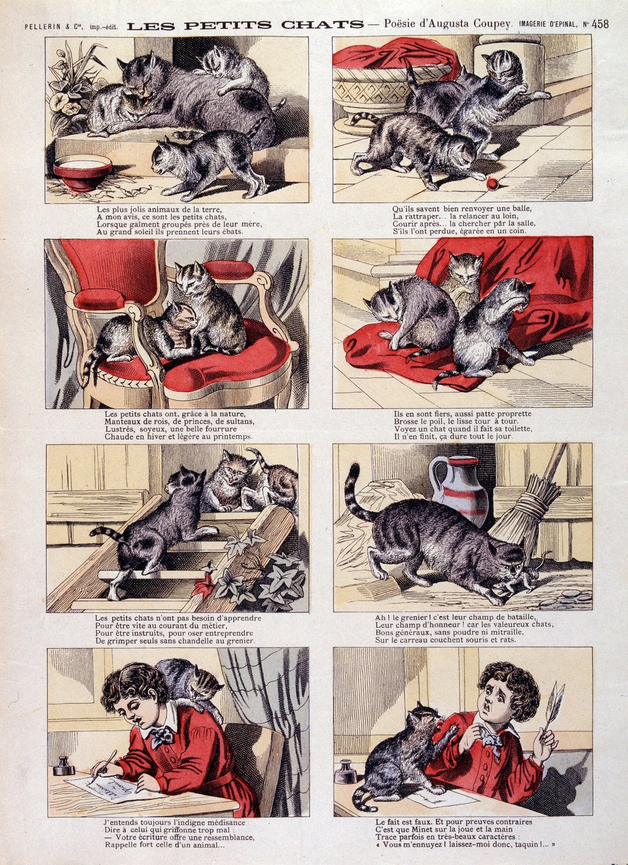 Kleine katten - Epinal afbeelding door French School