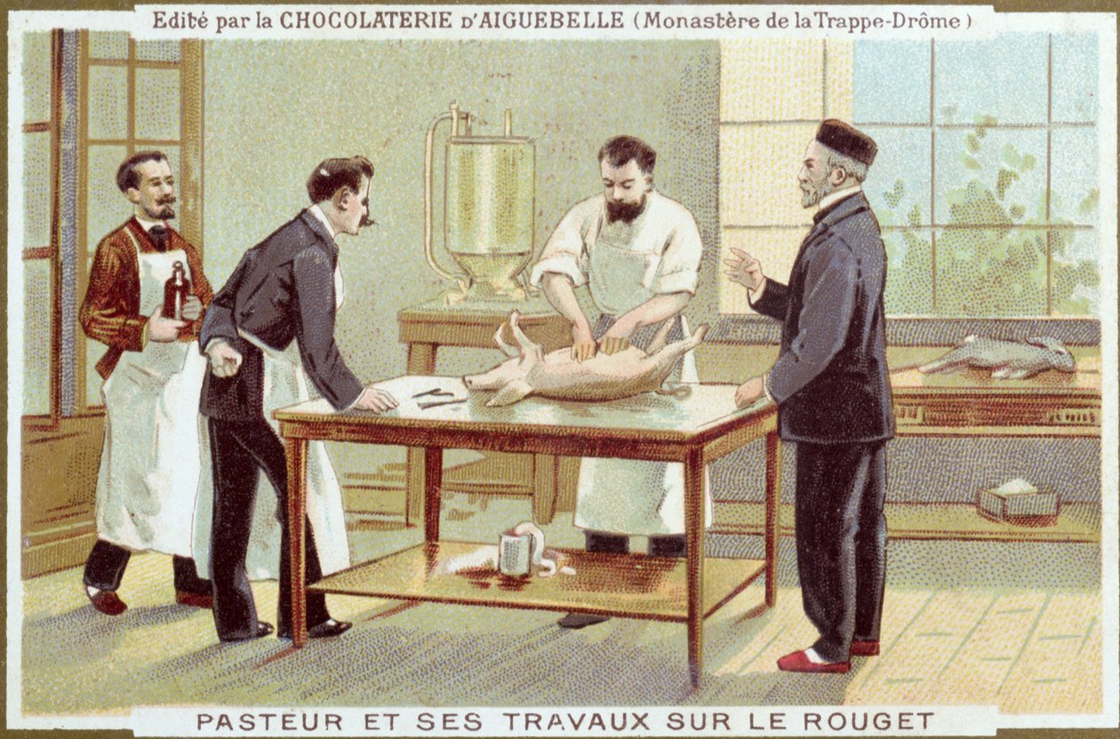Louis Pasteur (1822-95) werkend aan het onderzoek naar mazelen, reclamekaart voor de Chocolaterie d