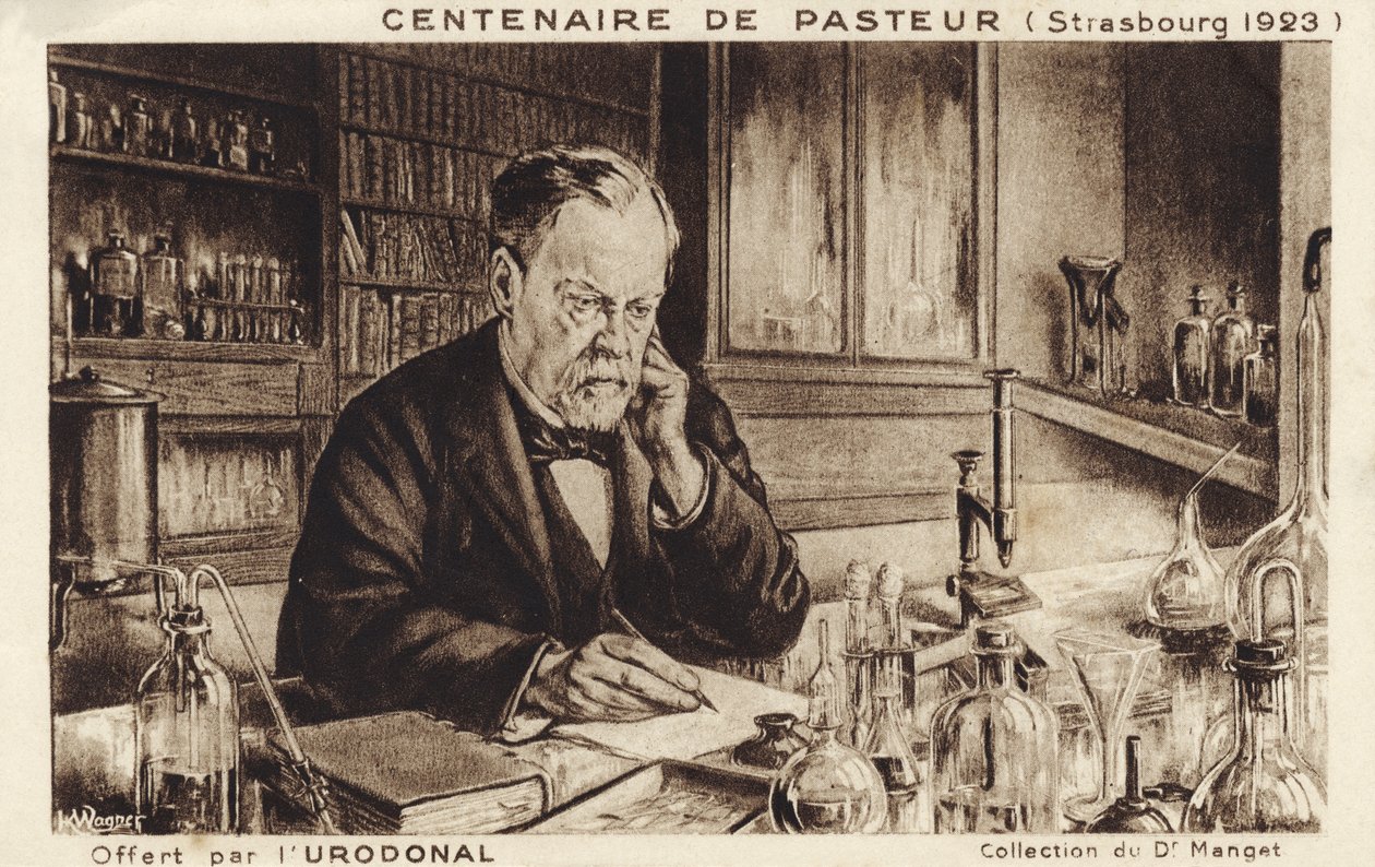 Louis Pasteur door French School