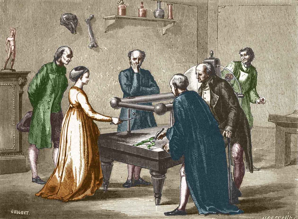 Luigi Galvani, professor in Bologna, ontdekte in 1780 de prikkelbaarheid van de spieren van de kikker door elektriciteit - in 