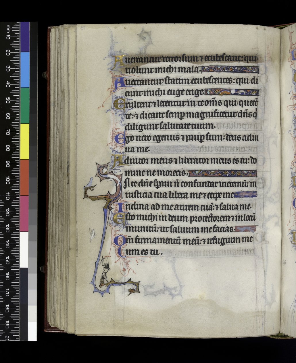 MS 300 f.73v, uit het Psalter en de Getijden van Isabella van Frankrijk, Parijs, c.1265-70 door French School