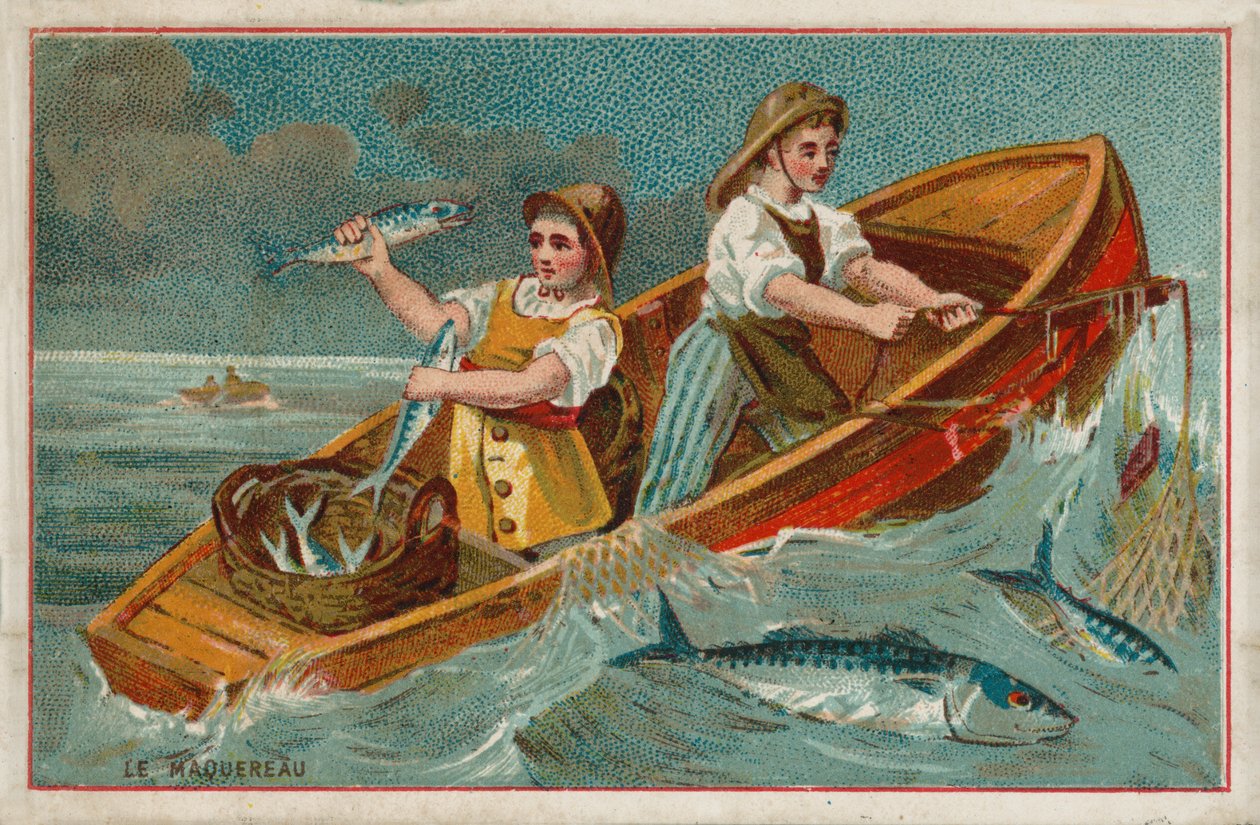 Mackerel (chromolitho) door French School